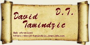 David Tamindžić vizit kartica